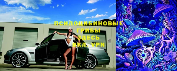 ПСИЛОЦИБИНОВЫЕ ГРИБЫ Осинники