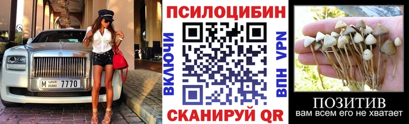 Псилоцибиновые грибы Magic Shrooms  Купить где  Раменское 